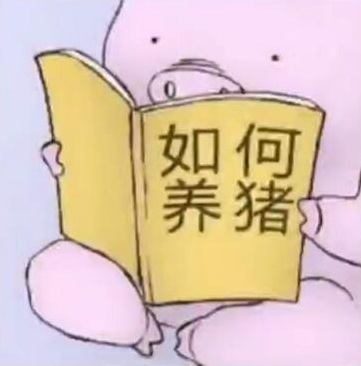 纯白帽打造快速收录站点 纯白帽打造快速收录站点