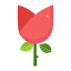 Parole di fiori