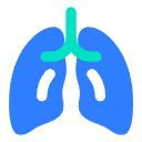 Ejercicios respiratorios